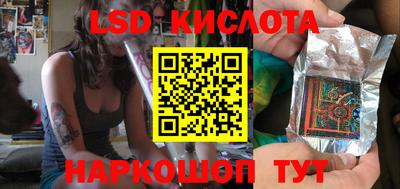 стаф Гай