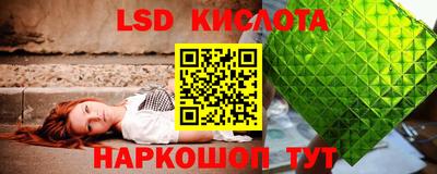 стаф Гай
