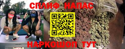 стаф Гай