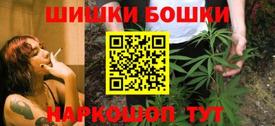 стаф Гай