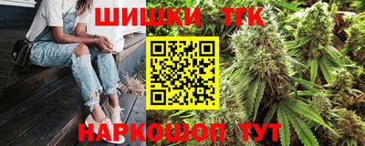 стаф Гай