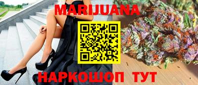 стаф Гай