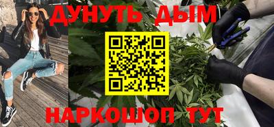 стаф Гай