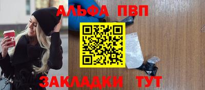 стаф Гай