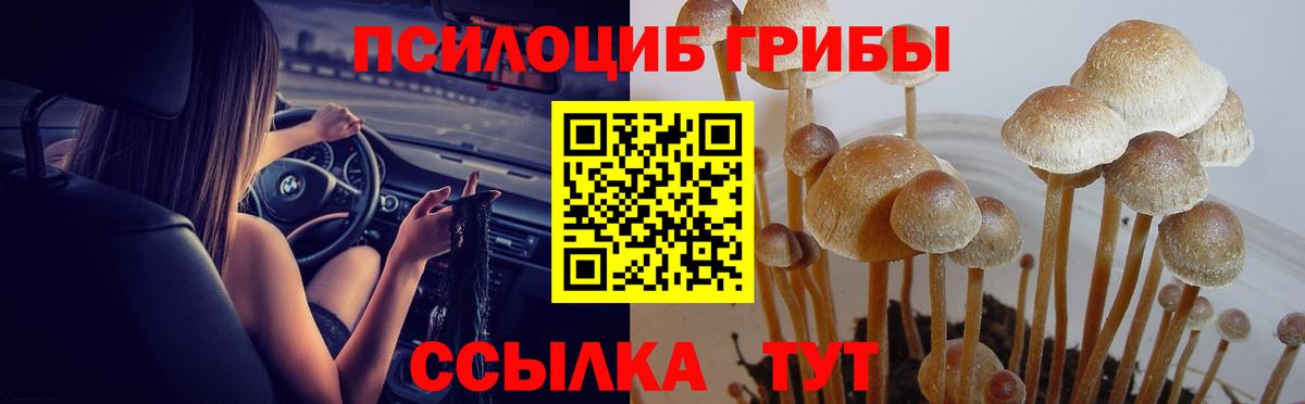Псилоцибиновые грибы ЛСД  Псилоцибиновые грибы GOLDEN TEACHER  Верхний Уфалей  купить закладку  Вход с VPN 